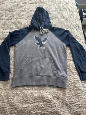 American Eagle Navy & Cream Lined Hoodie